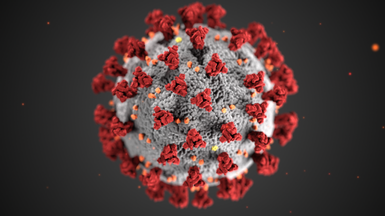 アメリカの新型コロナウイルスの死者数が実際は9000人程度というデマが広がる